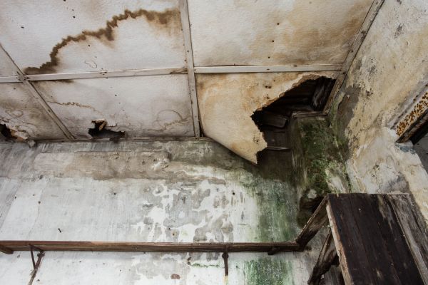 Cost of Water Damage Service in Palm Coast