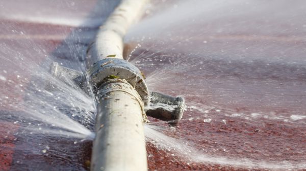 Cost of Burst Pipe Cleanup in Palm Coast