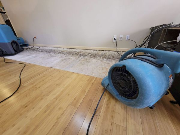 Cost of Water Damage Mitigation in Palm Coast