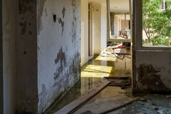 Cost of Water Removal Service in Palm Coast