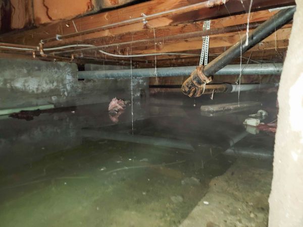 Water Mitigation Service in Palm Coast