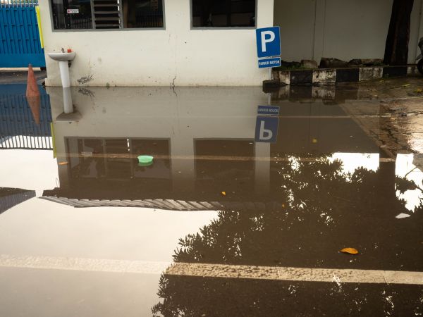Cost of Storm Damage Repair in Palm Coast