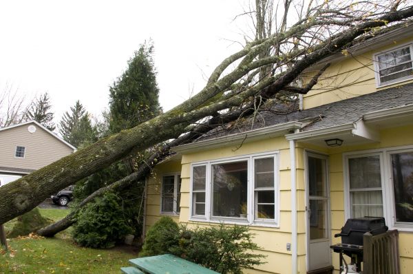 Hurricane Damage Repair in Palm Coast