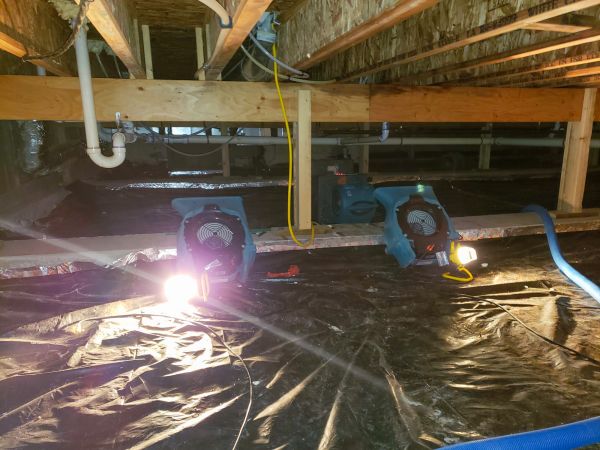 Cost of Crawlspace Water Removal in Palm Coast