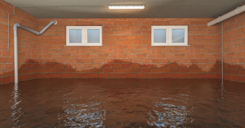 Basement Flood Remediation